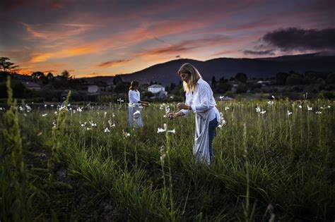 dior sustainability initiative beauty